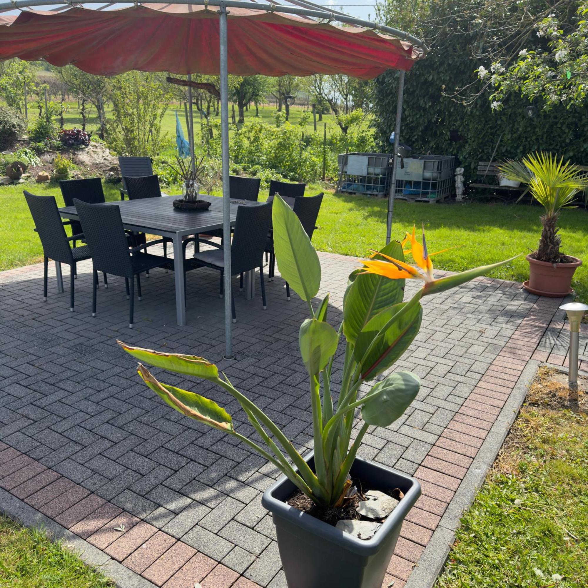 Weingut Tiliahof Bed & Breakfast Brauneberg Exterior photo